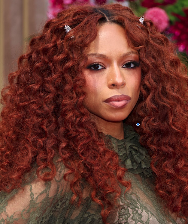 Rich cinnamon hair color on medium length hair